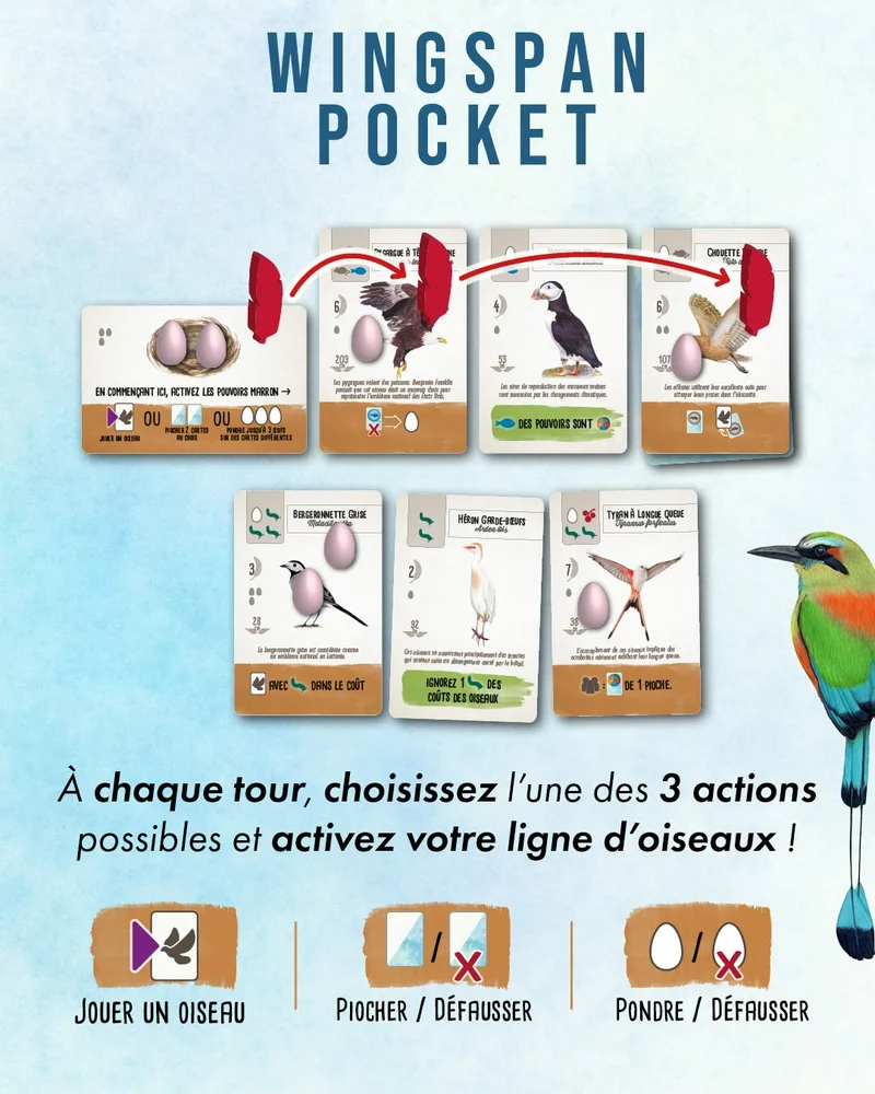 Wingspan Pocket (FR)