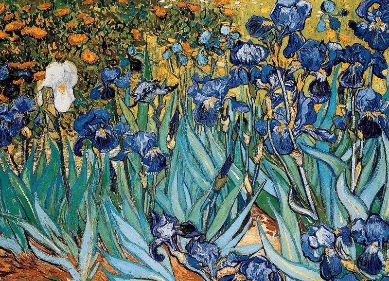 Puzzle Eurographics - 1000 p - Iris - Vincent Van Gogh