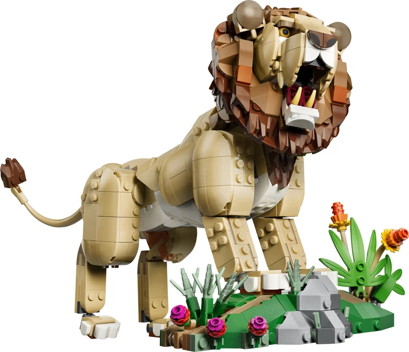 Les animaux sauvages : le lion majestueux