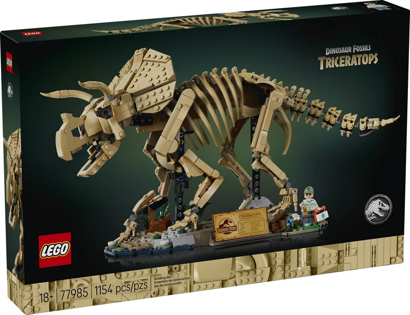 Les fossiles de dinosaures : le tricératops
