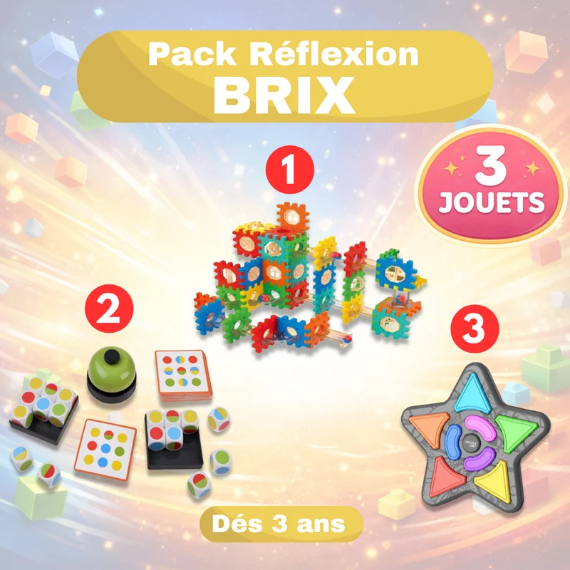 Pack BRIX – Logique, Mémoire & Construction Créative
