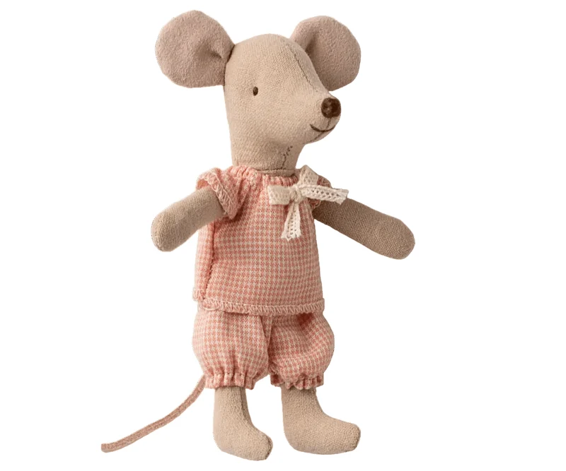 Petite Sœur Souris Dans Sa Boîte D'allumettes
