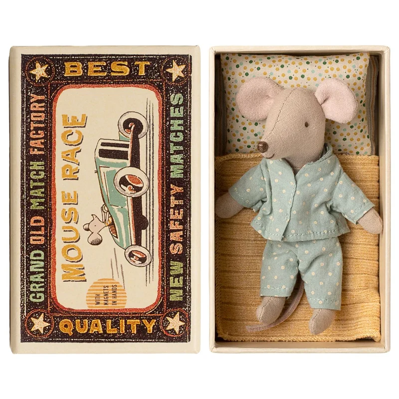 Petit Frère Souris Dans Sa Boîte Assortie