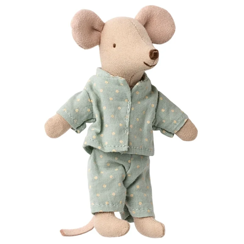 Petit Frère Souris Dans Sa Boîte Assortie