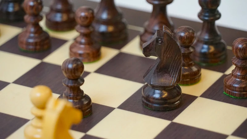 Ensemble jeu d'échecs Club en wengé - biseauté - Pièces en palissandre et buis