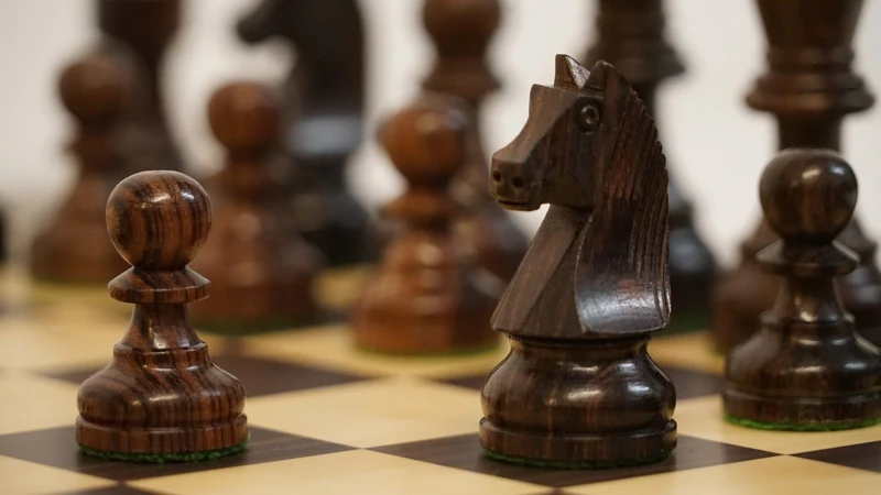 Ensemble jeu d'échecs Club en macassar et sycomore - Pièces palissandre et buis