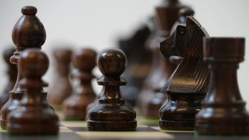 Ensemble jeu d'échecs Club en macassar et sycomore - Pièces palissandre et buis