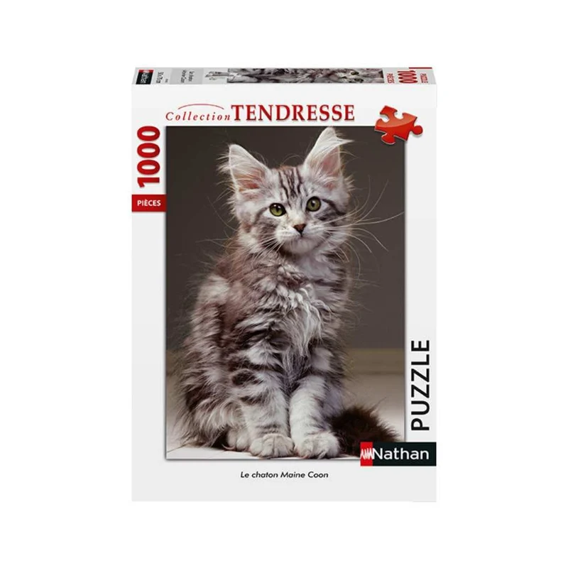 Le chaton Maine Coon ( 1000 pcs)