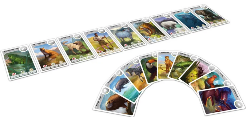 Cardline Animaux