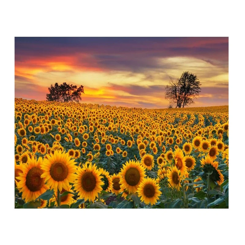 FlowerPuzzle : Puzzle 2000 Pièces - Idéal pour la Concentration et la Détente