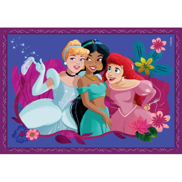 Disney Princess - 1x12 + 1x16 + 1x20 + 1x24 pièces