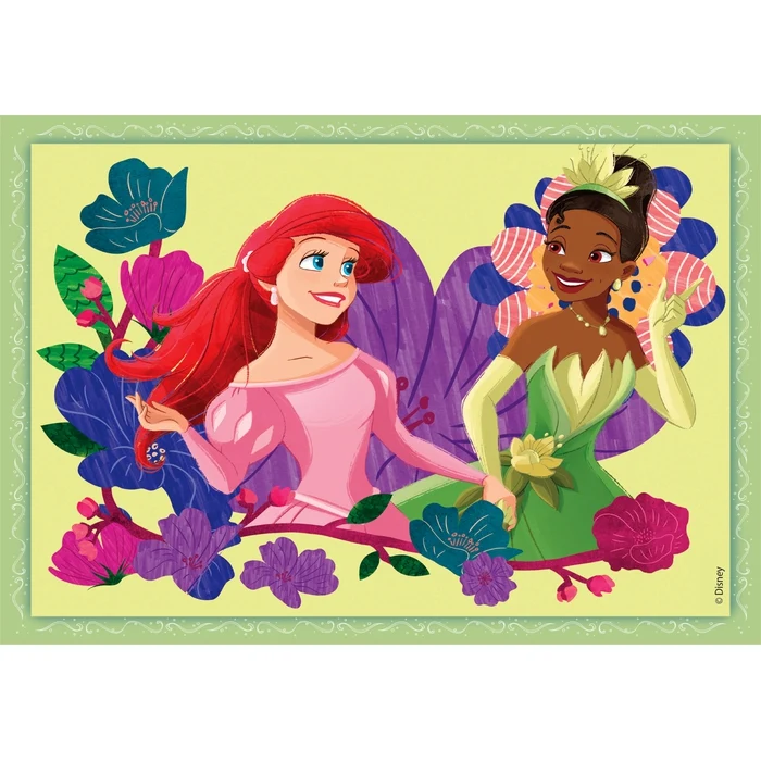 Disney Princess - 1x12 + 1x16 + 1x20 + 1x24 pièces