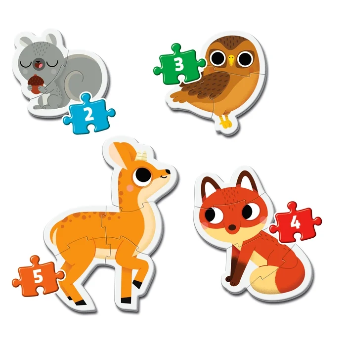 Forest Animals