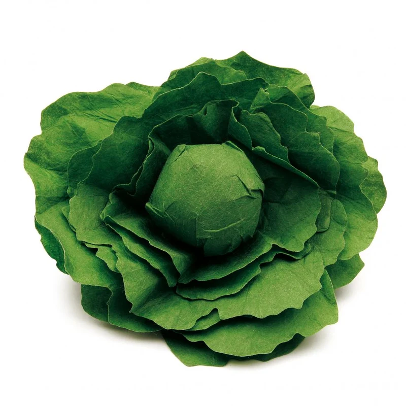 Salade pour dinette