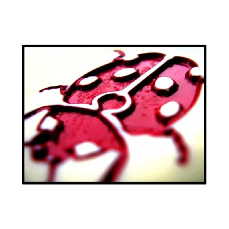Hive: ext. Ladybug (ML)