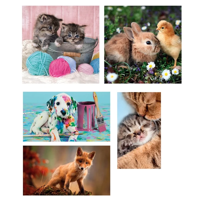 Animal Friends - 1x60 + 2x48 + 4x30 + 3x18 pièces