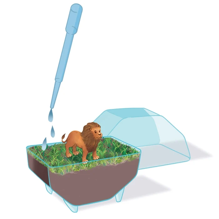 Mini Terrarium Lion