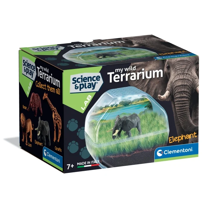 Mini Terrarium Éléphant