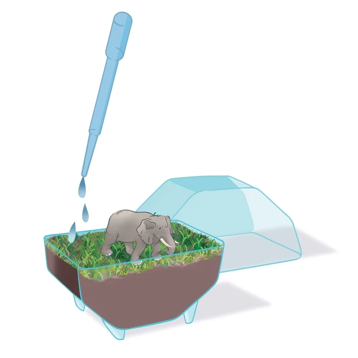 Mini Terrarium Éléphant