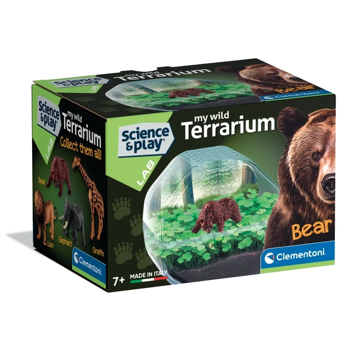 Mini Terrarium Ours