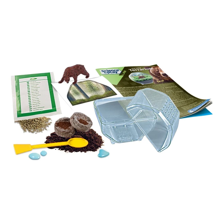 Mini Terrarium Ours