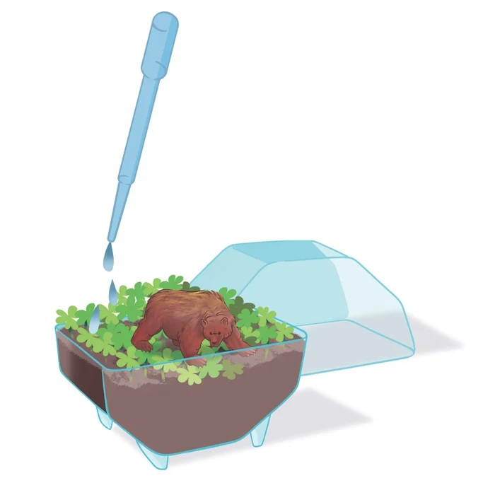 Mini Terrarium Ours