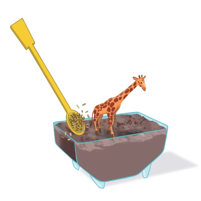 Mini Terrarium Girafe