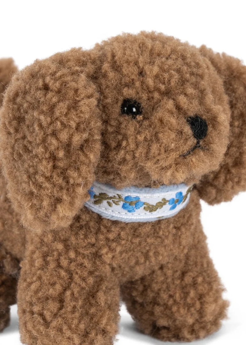 Chiot D'activité