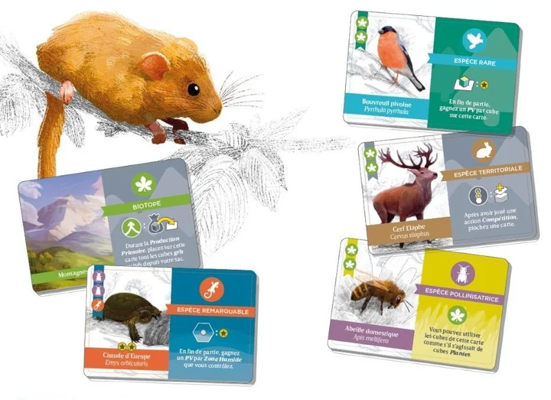 Biotopes