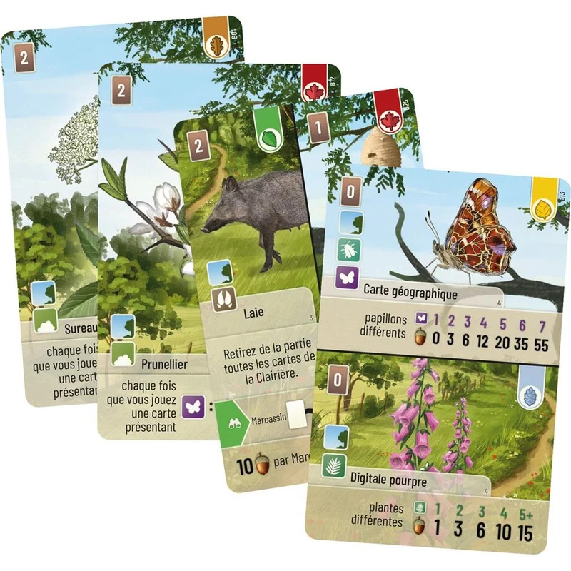 Forêt Mixte : Lisière de Forêt (Extension)