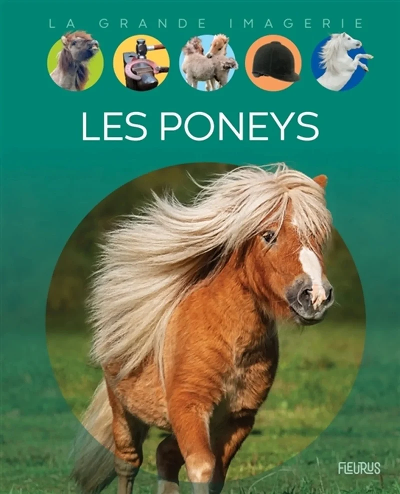 La grande imagerie: Les poneys