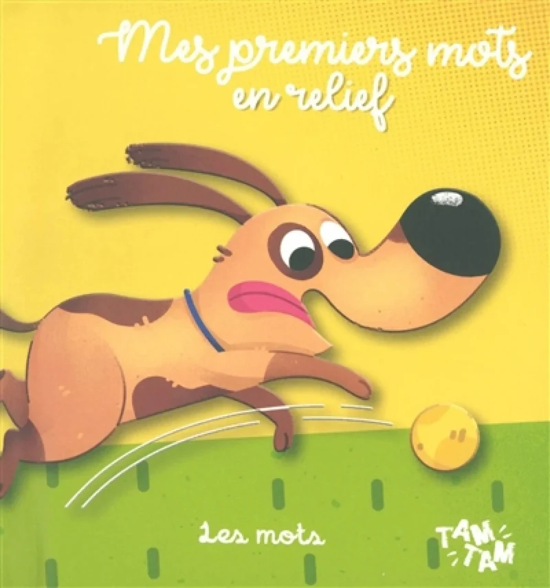 Mes premiers mots en relief: Les mots