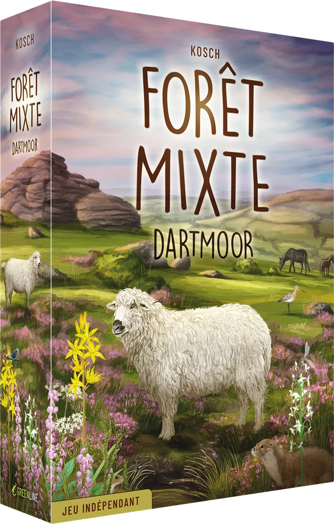 Forêt Mixte - Dartmoor