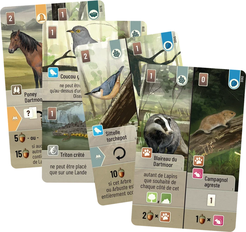 Forêt Mixte - Dartmoor