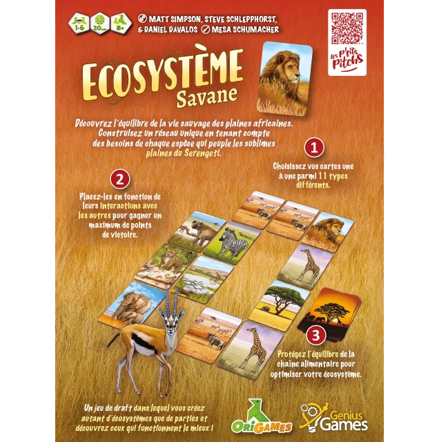 Ecosytème - Savane