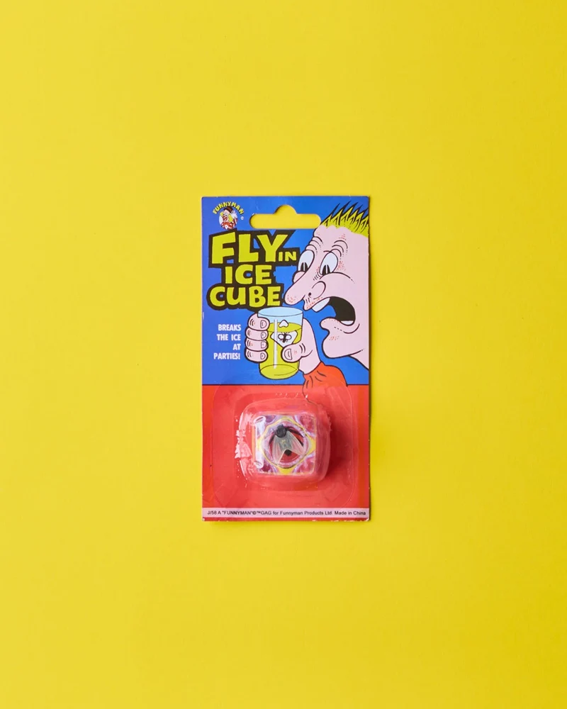 Funnyman - Jeu Glaçon Mouche