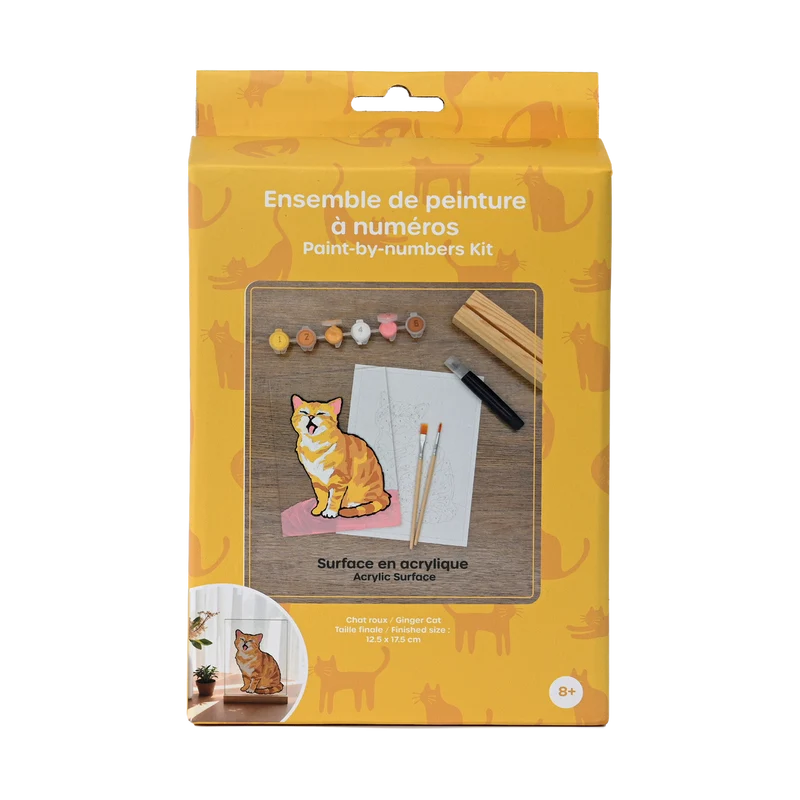 Ensemble peinture à numéros chat sur acrylique