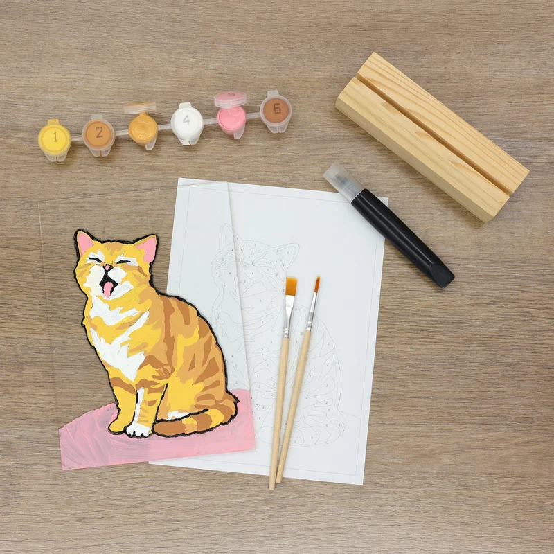 Ensemble peinture à numéros chat sur acrylique