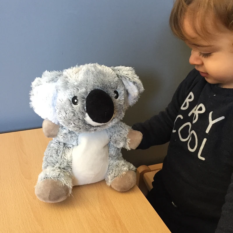 Peluche bouillotte koala