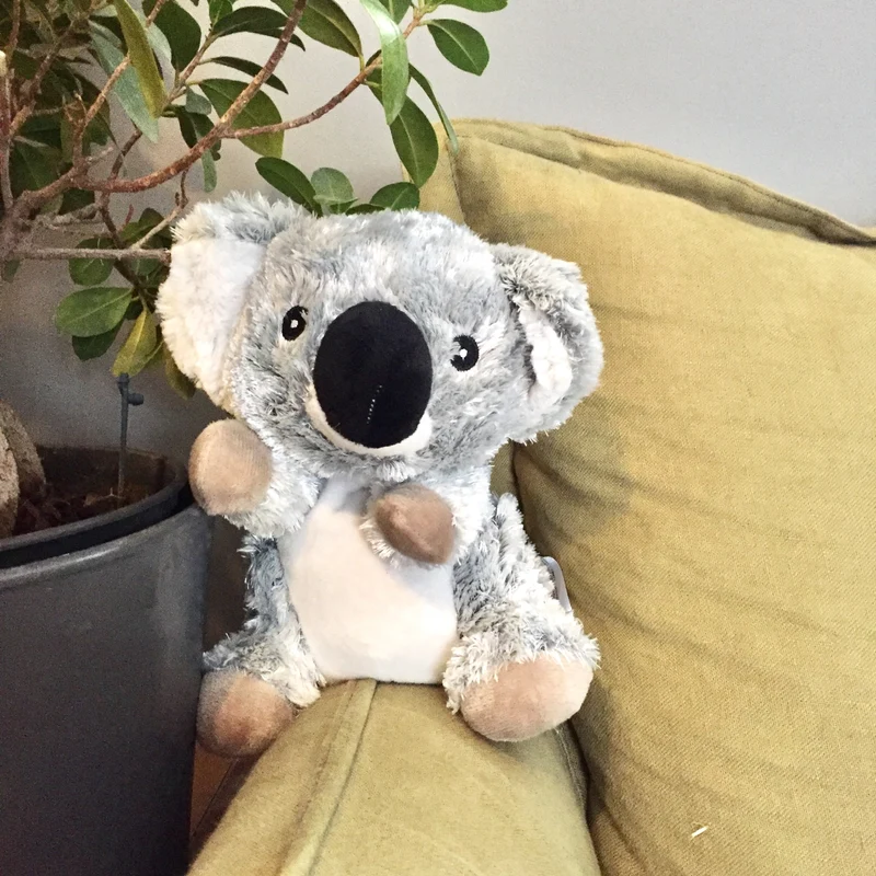 Peluche bouillotte koala
