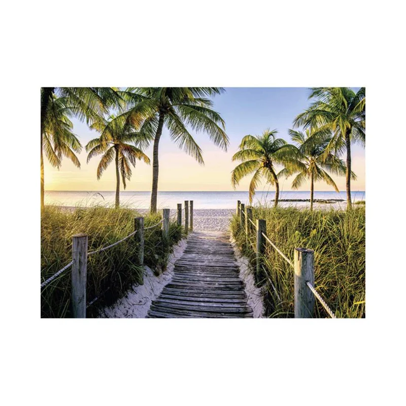 Plage de Floride (1000 pcs)