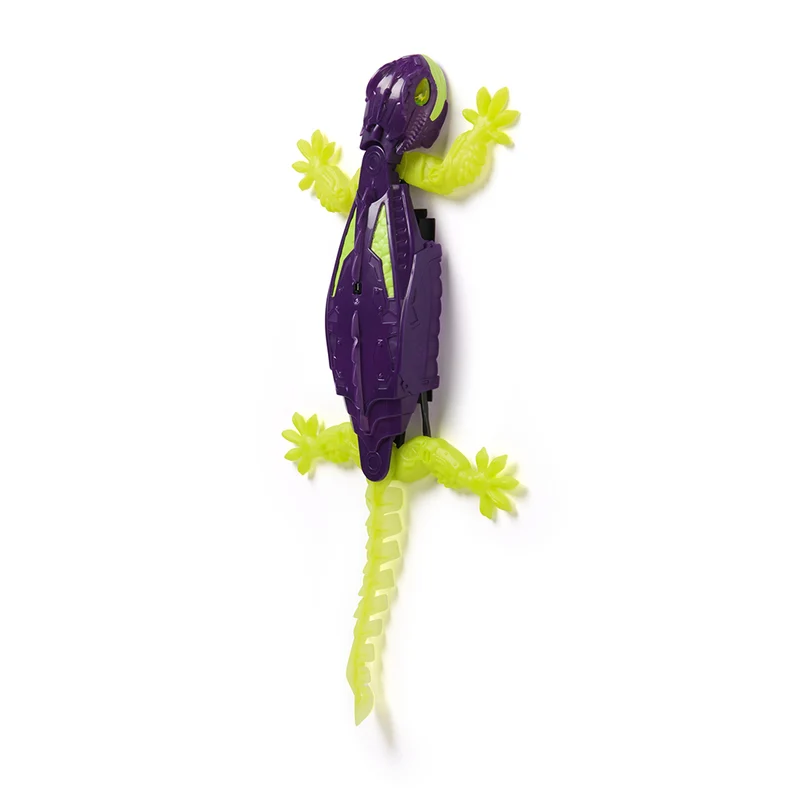 Gecko grimpeur de murs - Brille dans le noir