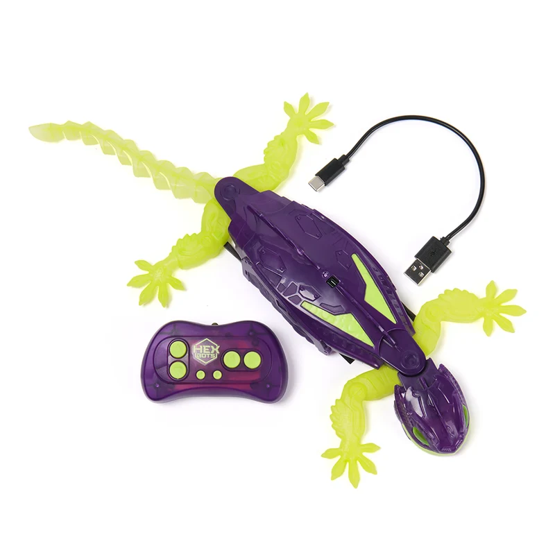 Gecko grimpeur de murs - Brille dans le noir