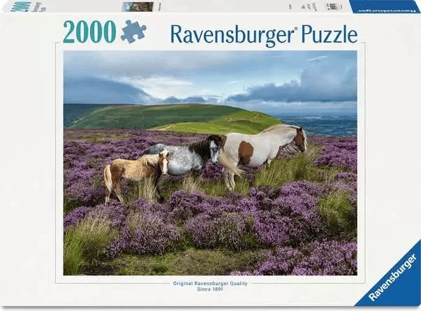 Wild Horses in the Heather (2000 pcs)