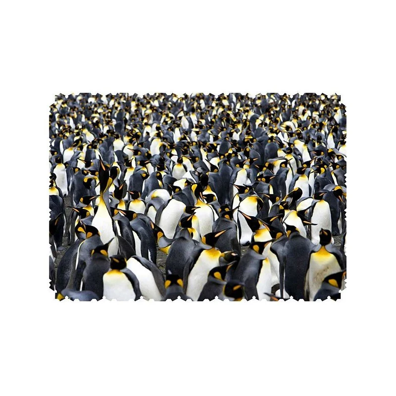Puzzle Bois Wentworth - 40 pièces - Pingouin Pandomium
