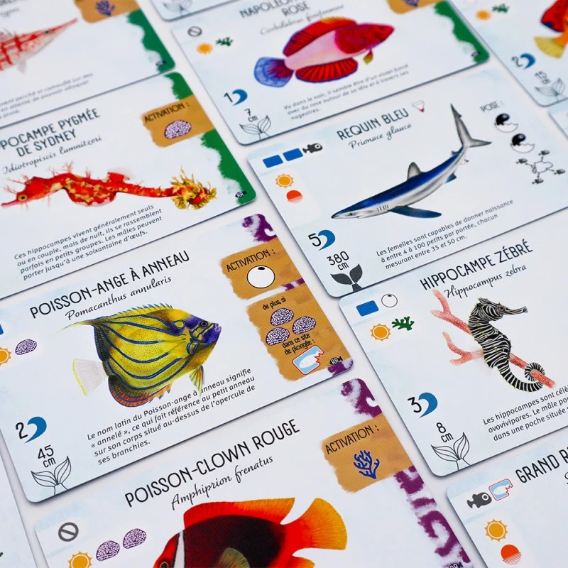 Finspan - Ext. Requins et Récifs (FR)