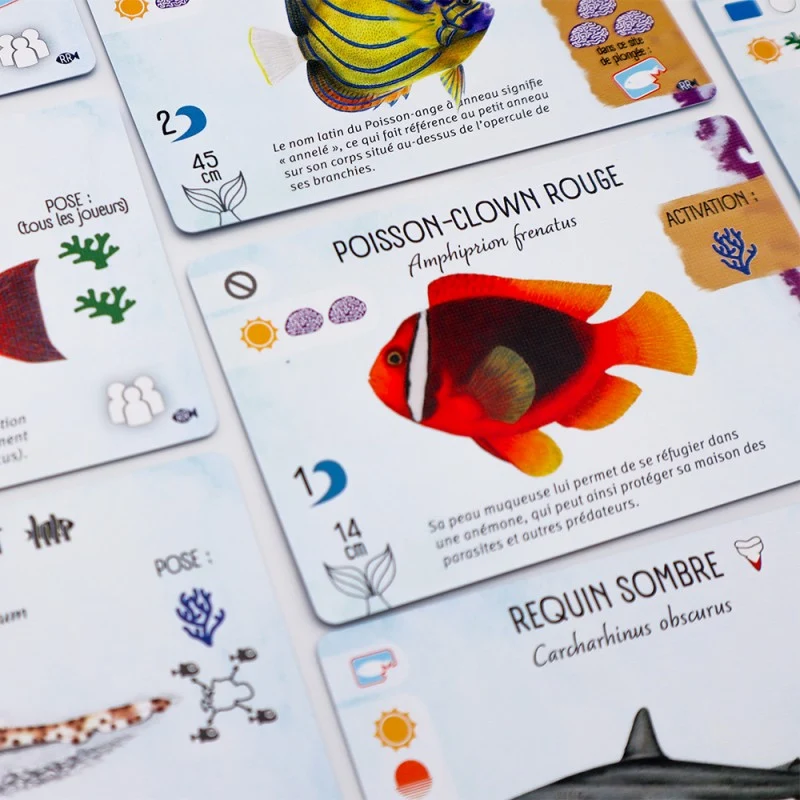 Finspan - Ext. Requins et Récifs (FR)