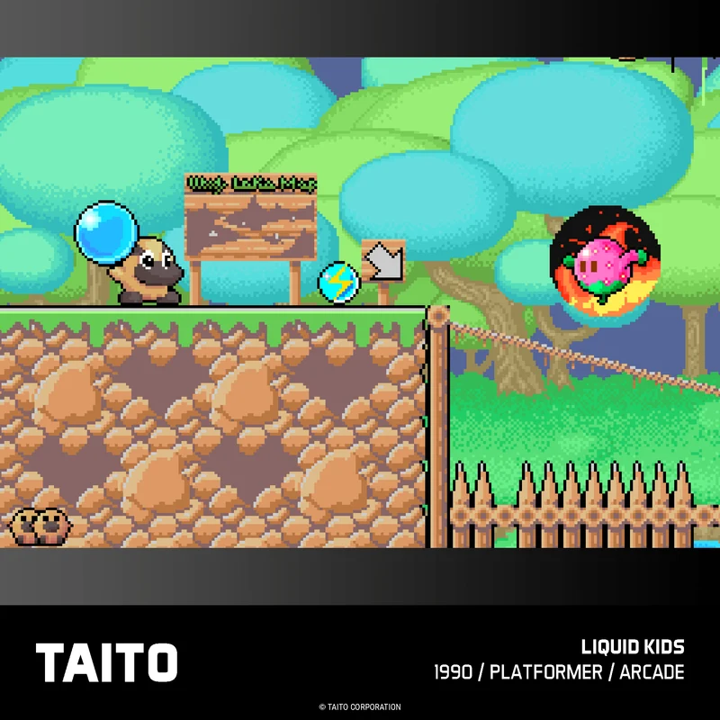 Blaze Evercade - TAITO Arcade Collection 2 - Cartouche n°18