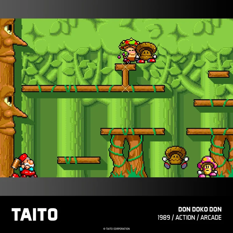 Blaze Evercade - TAITO Arcade Collection 1 - Cartouche n°17