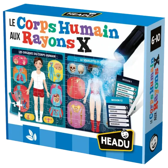 Le Corps Humain Aux Rayons X